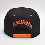 Baltimore Cool Green Snap Back